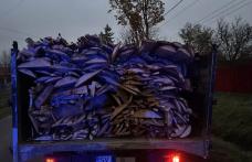 Doi metri cubi de material lemnos confiscat de poliţiştii dorohoieni