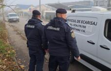 Botoșăneancă amendată după ce a lăsat în libertate pe spațiul public, un câine agresiv