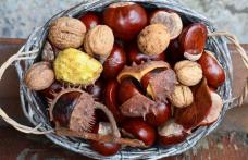 Castanele, leac pentru hemoroizi