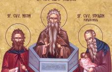 SINAXAR – 26 Noiembrie – Sf. Cuv. Alipie Stâlpnicul, Nicon şi Stelian Paflagonul