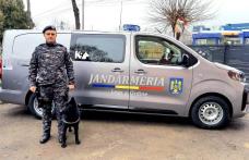 CIHA, O CĂȚELUȘĂ DE NOTA 10