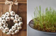 Ce e interzis să faci astăzi și ce trebuie să gătești neapărat. Tradiții străvechi românești de Sfântul Andrei