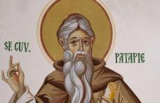 SINAXAR – 8 Decembrie – Sf. Cuv. Patapie; Sf. Ap. Cezar, Tihic şi Onisifor 