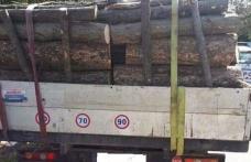 Sancțiune de 4.000 de lei și material lemnos confiscat în urma unui control în trafic 