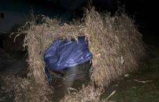 Tânăr reținut după ce s-a urcat băut la volan și a lovit mortal un bărbat, apoi a fugit de la locul accidentului