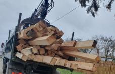 5 metri cubi de material lemnos de polițiștii dorohoieni