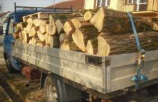 Material lemnos confiscat în urma unui control în trafic