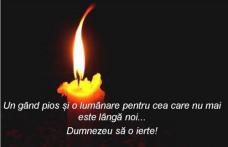 Și-a luat aripi spre cer ANA GRIGORE 