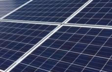 NATURAL HEMP HEART SRL: Comunicat de presă pentru începerea proiectului