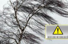 Atenție! Cod galben de vânt pentru județul Botoșani