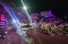 Copaci doborâți de vânt în tot județul! Pompierii au intervenit