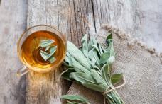 Amestecul de plante care stă la baza celui mai energizant ceai