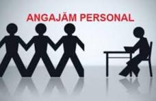 Texty Garments Dorohoi: Producătorul de canapele și fotolii își mărește echipa și angajează