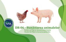 APIA primește cereri de plată pentru Intervenția DR-06 - Bunăstarea animalelor in cadrul Planului Strategic PAC 2023—2027, campania 2026