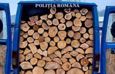 Material lemnos confiscat de polițiști la Bucecea
