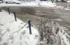 289 de sancțiuni contravenționale aplicate pietonilor botoșăneni