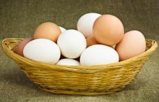 Ouă albe sau ouă cafenii? Ce spune știința despre diferențe
