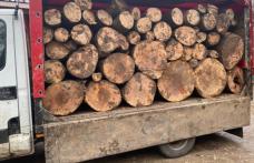 Material lemnos confiscat la Ibănești