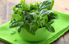 Planta minune care scade colesterolul