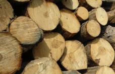 Sancțiune de 6.000 de lei și material lemnos confiscat