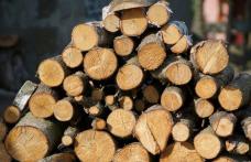 Material lemnos confiscat de polițiștii din Știubieni. Șoferul sancționat cu 5.000 de lei