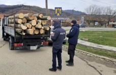 Patru metri cubi de material lemnos confiscat de polițiști