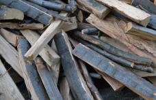 Material lemnos confiscat de polițiști la Șendriceni și Dorohoi