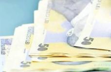 Peste 58,29 milioane de lei plătiți de AJPIS Botoșani pentru beneficiile de asistență socială aferente lunii februarie 2026