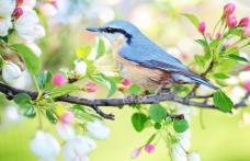 Horoscopul săptămânii 23 – 29 martie: Blocajele încep să dispară pentru toate zodiile