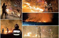 Intervenție a pompierilor pentru stingerea unui incendiu de vegetație uscată izbucnit pe aproximativ un hectar