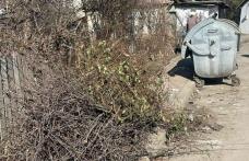 INFORMARE privind colectarea deseurilor vegetale de la persoanele fizice