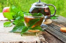 Ceaiul de urzică: Un remediu natural puternic pentru sănătatea ta