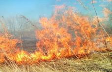 Măsuri privind prevenirea incendiilor de vegetație uscată din cauza curățării terenurilor de pe teritoriul municipiului Dorohoi