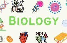 Olimpiada de Biologie: Două Premii I și calificare la etapa națională pentru Gimnaziul Kogălniceanu Dorohoi