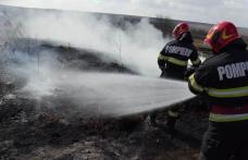 Incendii de vegetație în județ. Focul a distrus terenuri și culturi