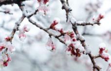 Avertizare meteo de ploi, ninsori și vânt puternic în toată țara. Prognoza meteo ANM actualizată