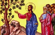 SINAXAR – 6 Aprilie – Sfânta şi Marea Luni (Denie)