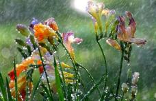 Un nou ciclon aduce de joi ploi, vânt, lapoviță și ninsori la munte. Cum va fi vremea de Florii și Paște