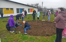 Două proiecte din Săptămâna Verde – FOTO