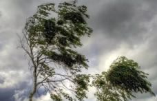 Cod Galben de vânt puternic, sâmbătă, pentru județul Botoșani