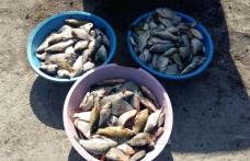 Peste 160 kg de pește ridicat de polițiști