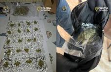 Un bărbat reținut pentru trafic de droguri de risc și operațiuni cu psihoactive