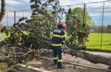 Intervenții ale pompierilor în urma Codului Portocaliu de vânt