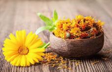 Beneficiile extraordinare din extractul natural de gălbenele