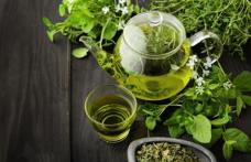 Beneficiile ceaiului verde pentru organism