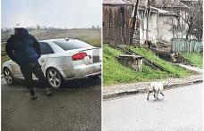 Sancționat cu 3.000 de lei pentru ca a abandonat un cățel