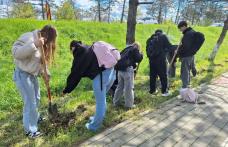 Elevii Colegiului Național „Grigore Ghica” Dorohoi, exemplu de responsabilitate față de natură