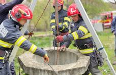 Ied salvat de pompieri după ce a căzut într-o fântână