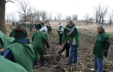 „Luna pădurii” a coincis cu lansarea Mișcării pentru Botoșani la nivelul municipiului Dorohoi [VIDEO]