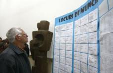 AJOFM: Locuri noi de muncă pentru șomerii cu studii medii sau calificare